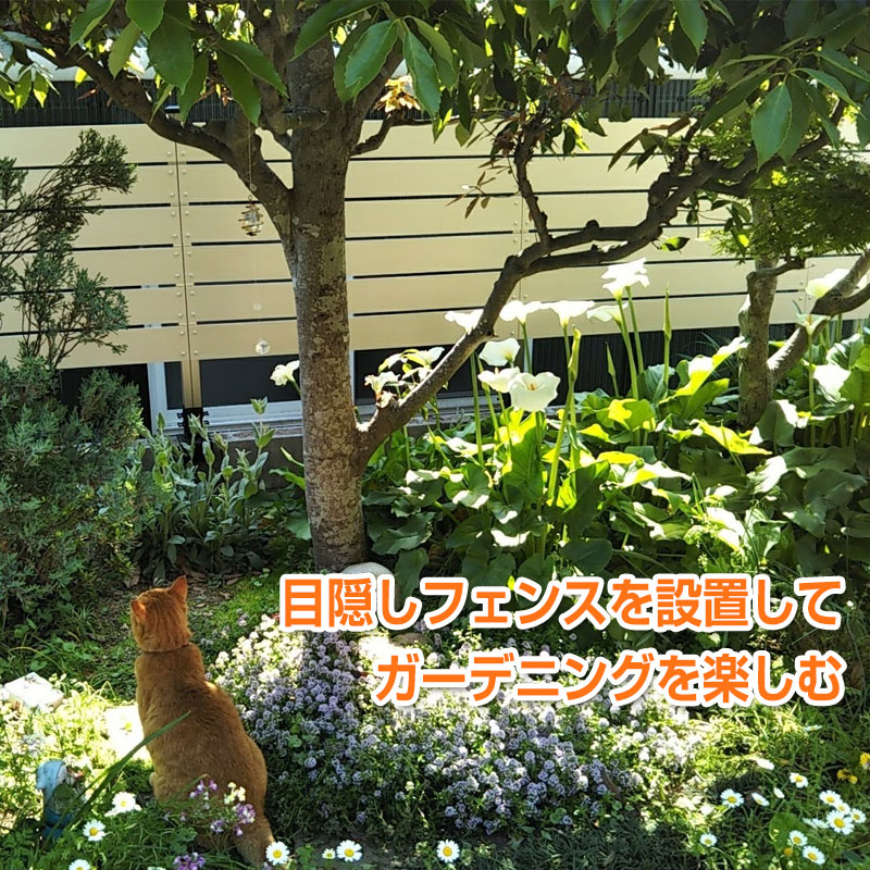 目隠しフェンスを設置してガーデニングを楽しむ ガーデンライフ彩