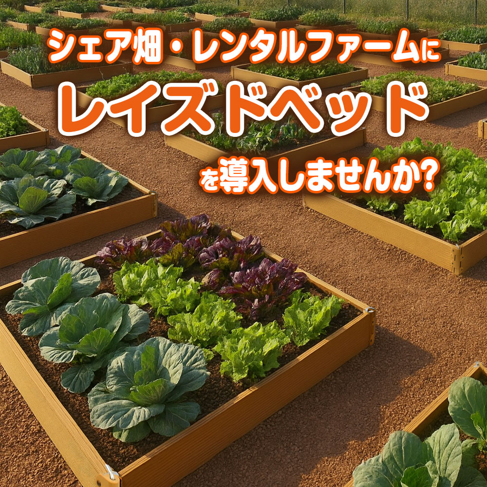 シェア畑・レンタルファームにレイズドベッドを導入しませんか？